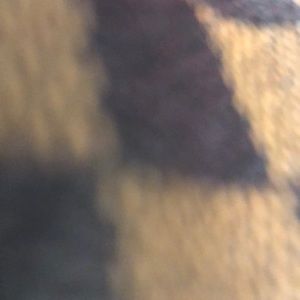 Meet your Posher, Vicky